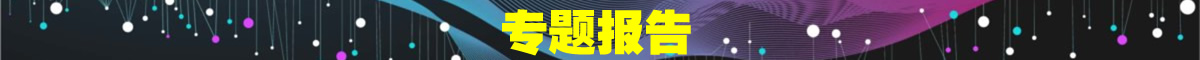 专题报告