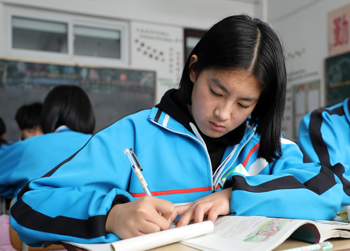 班级读书论坛与主题班会