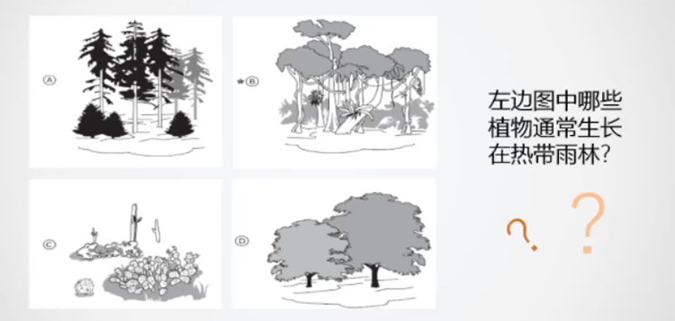 杨向东：围绕三大关键要素，如何设计素养导向的命题与评价? 第 1 张