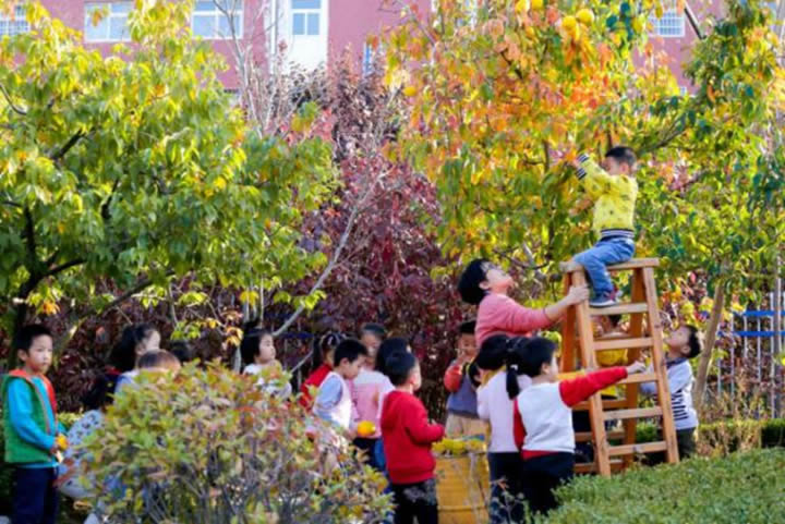 五莲县实验幼儿园 第 3 张