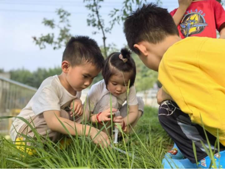 五莲县幼儿园 第 2 张