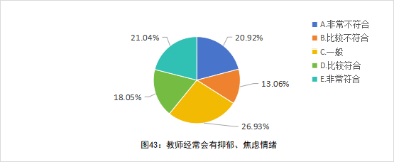全国中小学教师现状调查报告发布 第 44 张