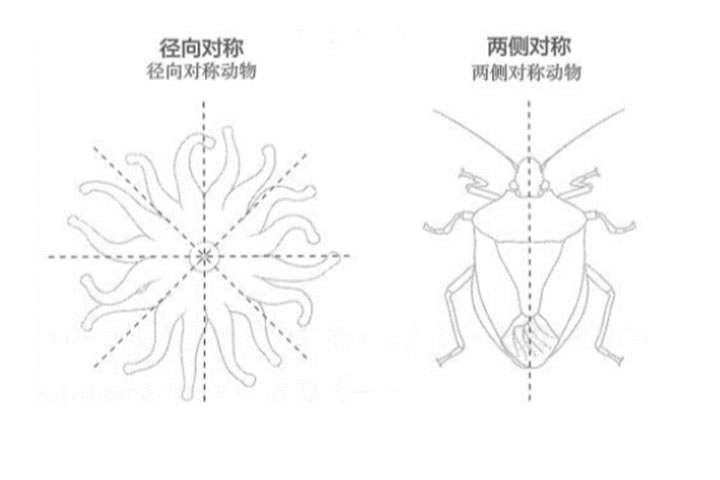 麦克斯·班尼特：人类智能正在迎来第六次突破 第 2 张