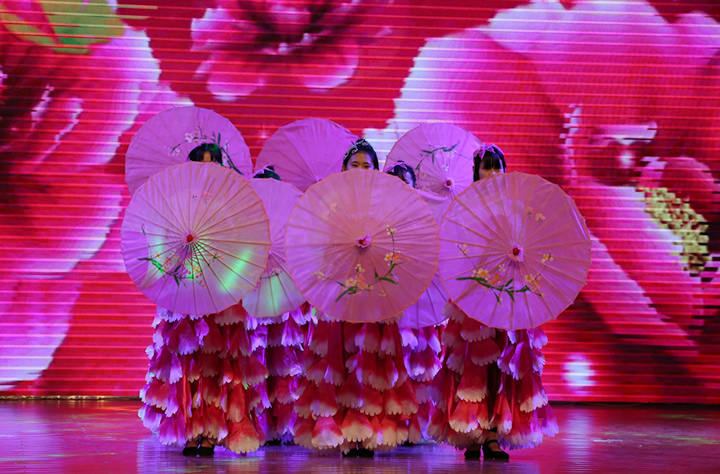 成果汇报演出精彩节目